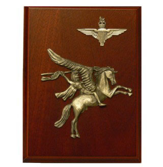 Military Presentation Plaques image